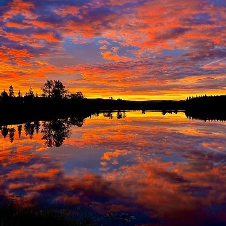 Burns Lake Bed And Breakfast エクステリア 写真